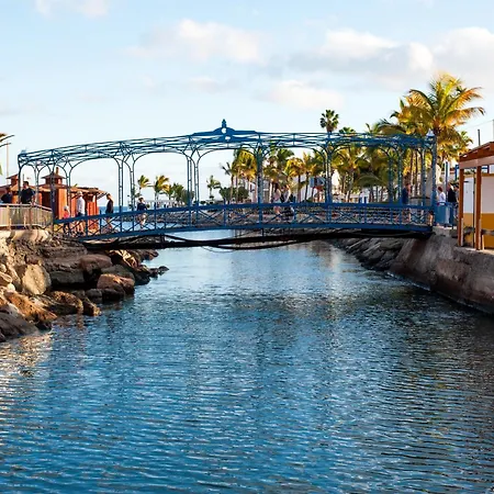 Marina Nº 289 * Puerto De Mogan